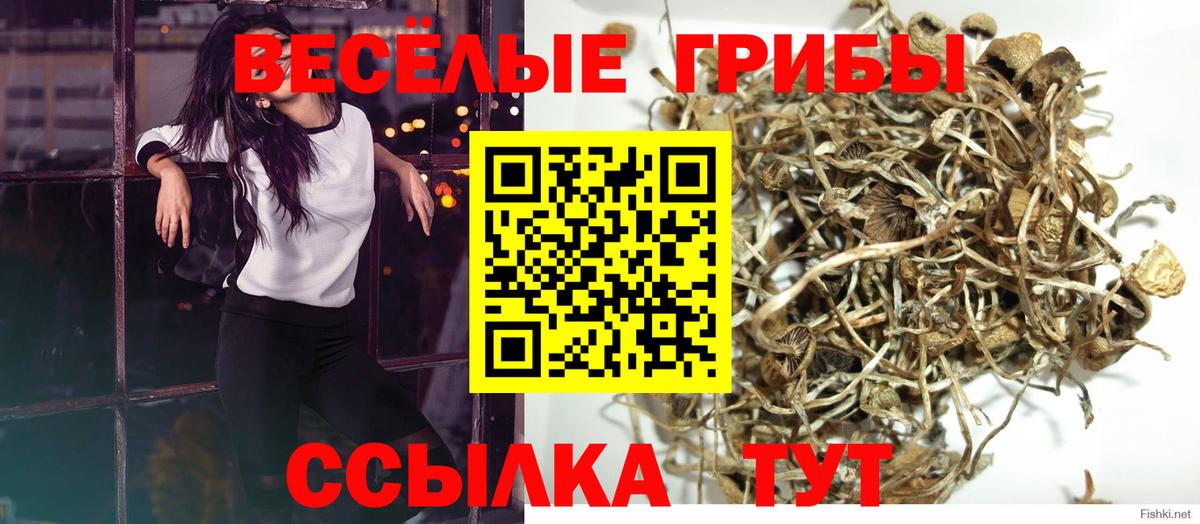 Галлюциногенные грибы мицелий Слободской