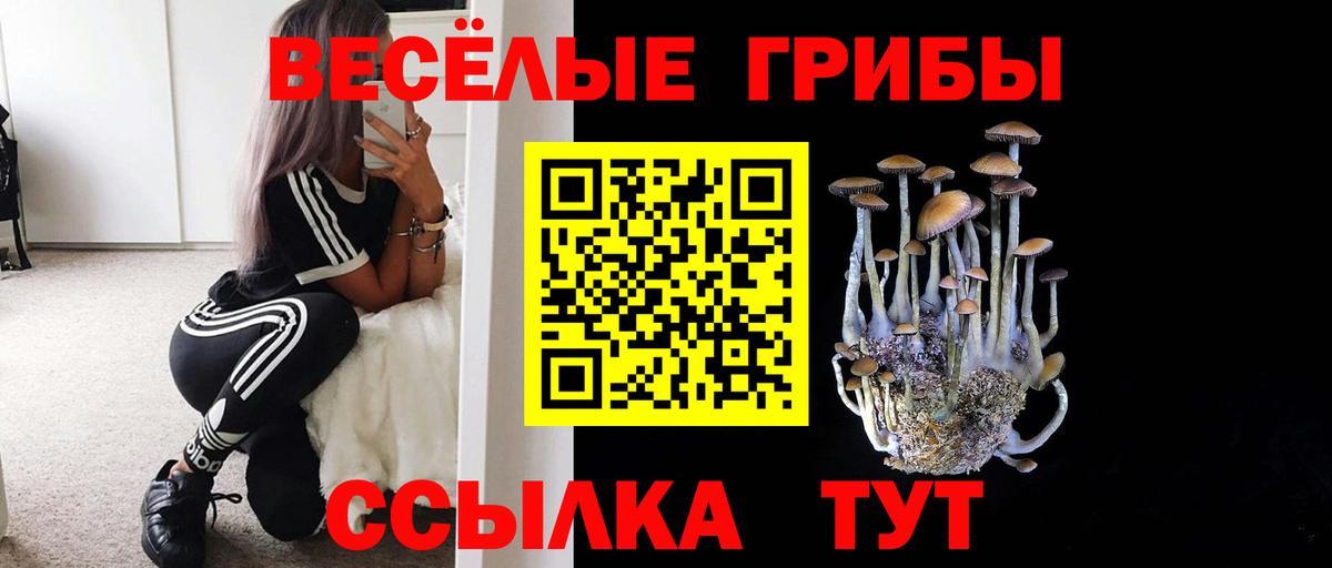 Слободской  Псилоцибиновые грибы ЛСД  Вход с VPN  Галлюциногенные грибы Magic Shrooms 